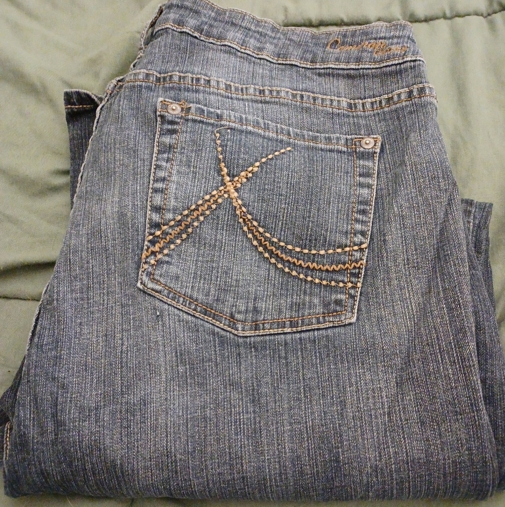 Plus size 22W jeans